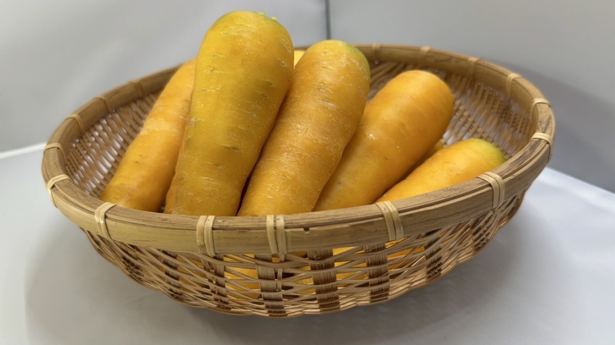 画像3: 沖縄産 香りまろやかな 黄色い 金美人参(10kg)大きさバラつきあり (3)