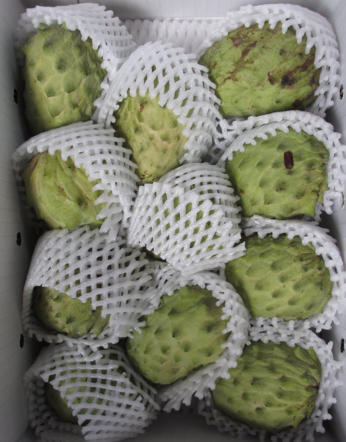 画像2: 【予約】アテモヤ 訳あり　傷・色ムラ・サイズバラつき有  約2kg (サイズ指定不可）　とってもあま〜い山のアイスクリーム  沖縄県産 【12月頃から出荷】 (2)