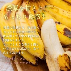 画像3: お任せバナナ（三尺バナナ/島バナナ/アイスクリームバナナなど）2kg　 (3)
