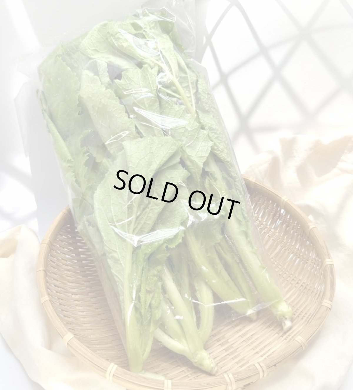 画像2: 島菜（芥子菜）　3束（約1.5kg） (2)