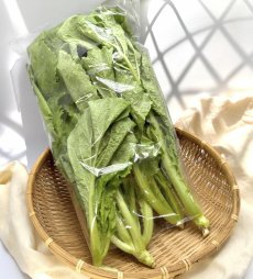 画像2: 島菜（芥子菜）　3束（約1.5kg） (2)