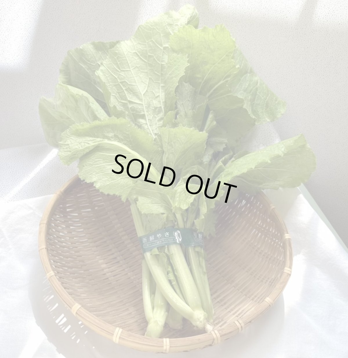 画像1: 島菜（芥子菜）　3束（約1.5kg） (1)