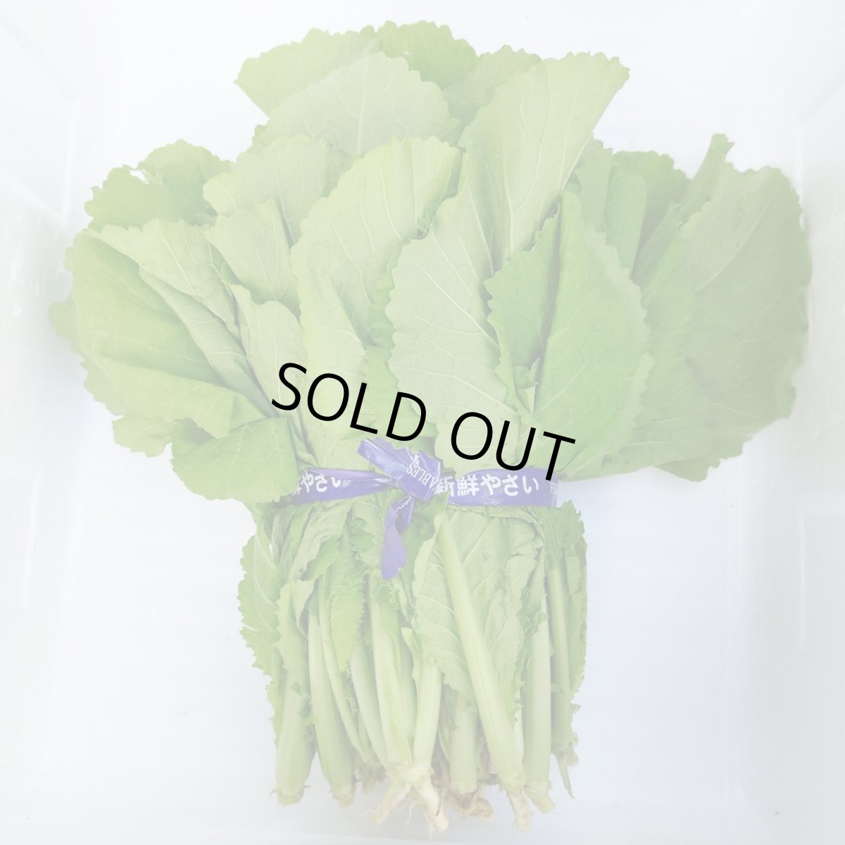 画像1: 【訳あり】島菜（芥子菜）　1束（約500ｇ） (1)