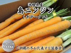 画像1: 沖縄産 島にんじん　滋養食　（チデークニ）5kg 10束 【発送12〜2月】 (1)