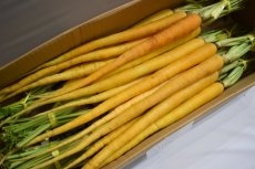 画像4: 香りの優しい 沖縄産 島にんじん  １kｇ　２束 (4)