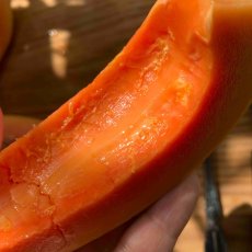 画像1: サンライズフルーツパパイヤ　1玉　 約1〜1.5キロ　 (1)