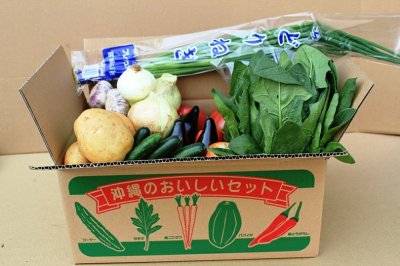 画像2: 【送料無料】沖縄の旬の野菜セット安心ぜ〜んぶ沖縄産　おまかせ10品目