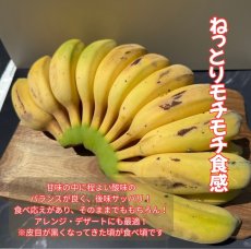 画像2: アップルバナナ 約1kg（1房前後）　【配達日指定不可/常温発送】 (2)