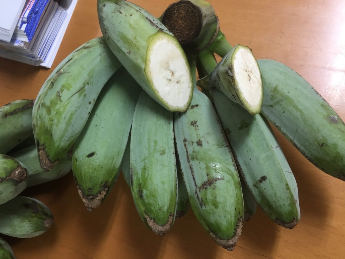 画像3: 野菜バナナ 5kg【配達日指定不可/常温発送】 (3)