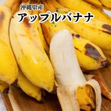 画像1: アップルバナナ 約2kg　【常温発送】 (1)
