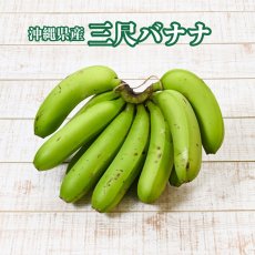 画像1: 三尺バナナ　2kg　 (1)