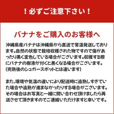 画像5: 【人気ＮＯ.１】沖縄県産　島バナナ　2kg (5)