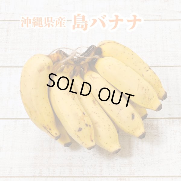 沖縄産 フルーツ 島やさい バナナ アイスクリームバナナ
