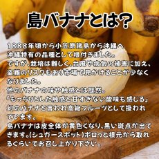 画像4: 【人気ＮＯ.１】沖縄県産　島バナナ　2kg (4)