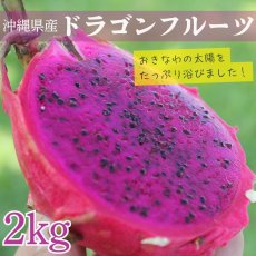 画像1: 「最終入荷」ドラゴンフルーツ (赤) 　約２kg　　甘くて美味しい南国フルーツ　 (1)