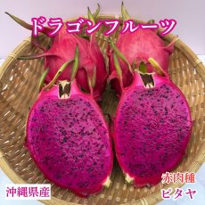 画像2: 【最終入荷！】ドラゴンフルーツ (赤) 約１kg(2〜4玉)沖縄県産 　爽やかな甘さの南国フルーツ (2)