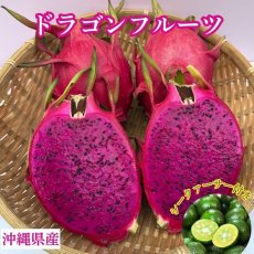 画像1: 【最終入荷！】ドラゴンフルーツ (赤) 約2kg(4〜6玉)　※シークァーサー付き　爽やかな甘さの南国フルーツ (1)