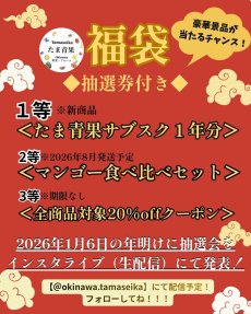 画像2: ＜12月18日で受付終了＞☆送料無料☆フルーツ・野菜・特産品の贅沢な福袋。※ご購入で豪華景品が当たる抽選権利獲得！ (2)