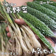 画像1: ゴーヤー１kg/島らっきょう500gの人気セット　島野菜/沖縄県産/伊江島産/お得商品 (1)
