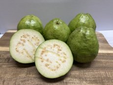 画像2: 野菜用 グァバ ※固いグァバ 約1kg　沖縄県産　※フルーツ用ではありません。【合格証付き】 (2)