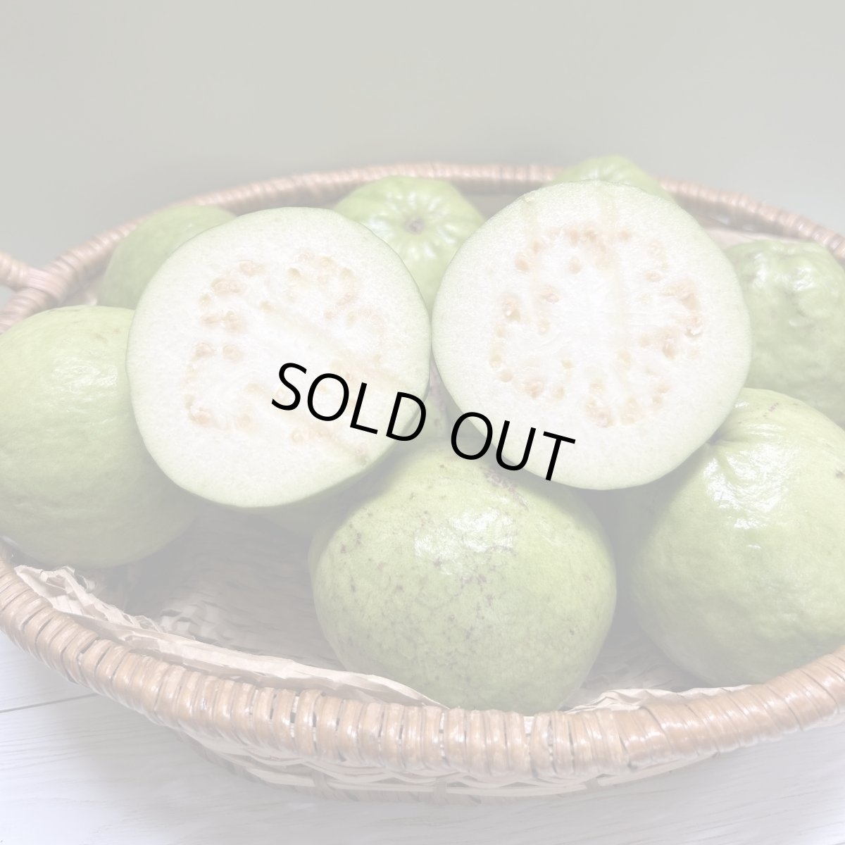 画像1: 野菜用 グァバ ※固いグァバ 約1kg　沖縄県産　※フルーツ用ではありません。【合格証付き】 (1)