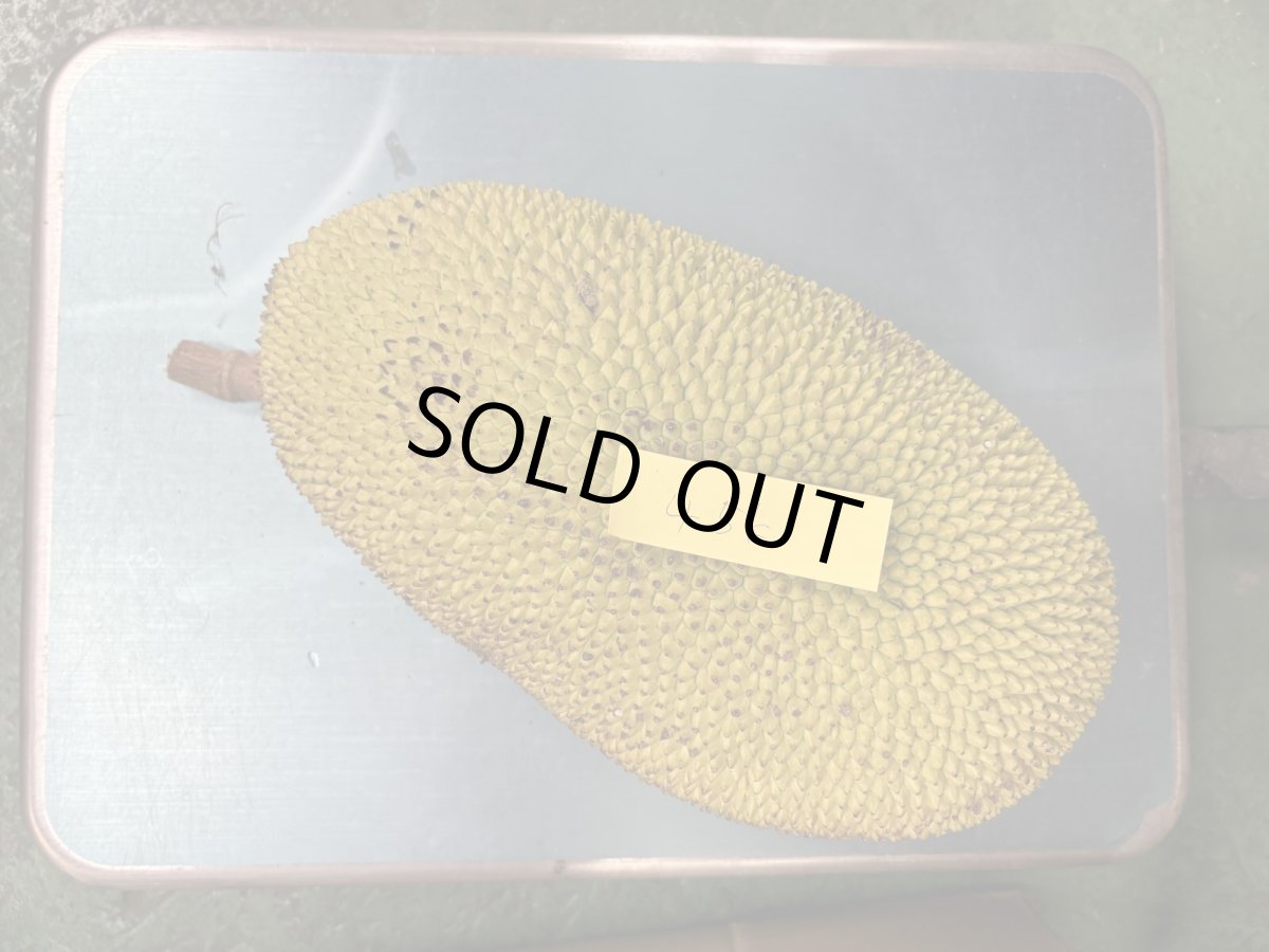 画像2: ジャックフルーツ☆パラミツ☆　約4.5〜5kg前後　※クレーム無しでお願いします。数量限定 (2)