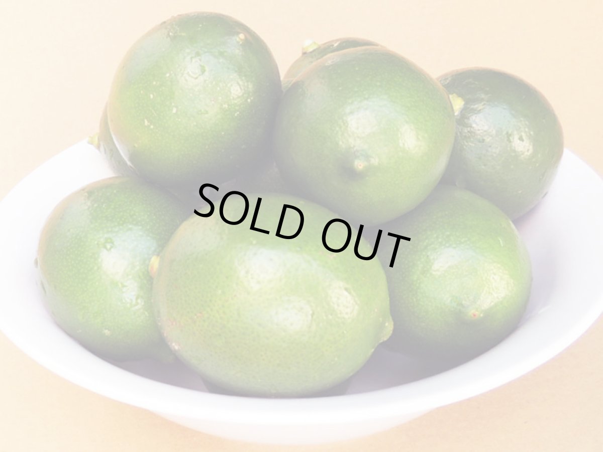 画像2: マイヤーレモン　約 5kg  沖縄県産　大容量がお得！ (2)