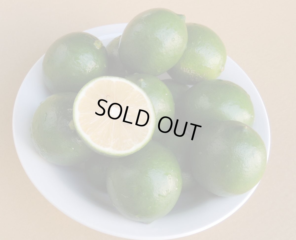 画像1: マイヤーレモン　約 5kg  沖縄県産　大容量がお得！ (1)