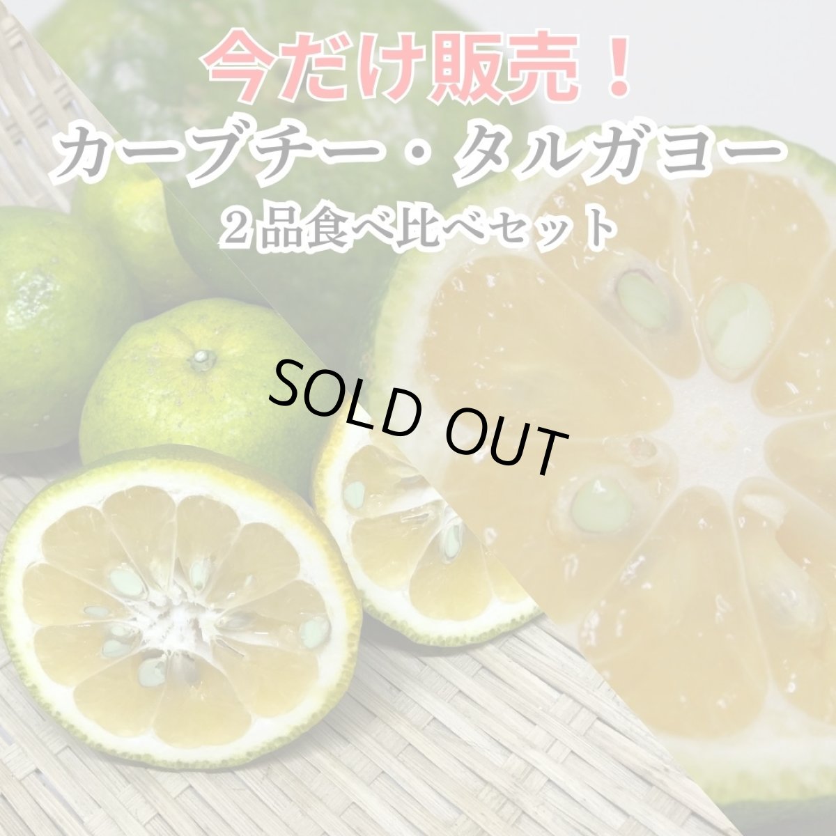 画像1: 今だけ!!!「カーブチー1kg」「タルガヨー1kg」食べ比べセット (1)
