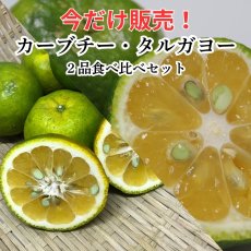 画像1: 今だけ!!!「カーブチー1kg」「タルガヨー1kg」食べ比べセット (1)