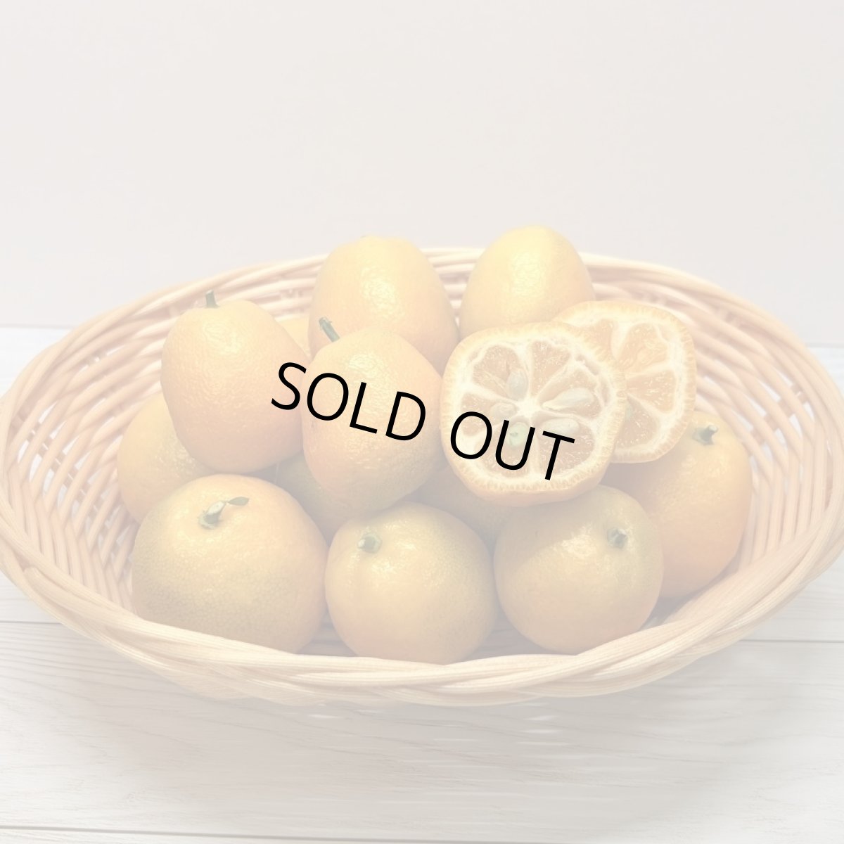 画像1: 沖縄県産　ころころ金柑（キンカン）　1kg　秋の味覚　加工用におすすめ！【大玉サイズ】数量限定 (1)