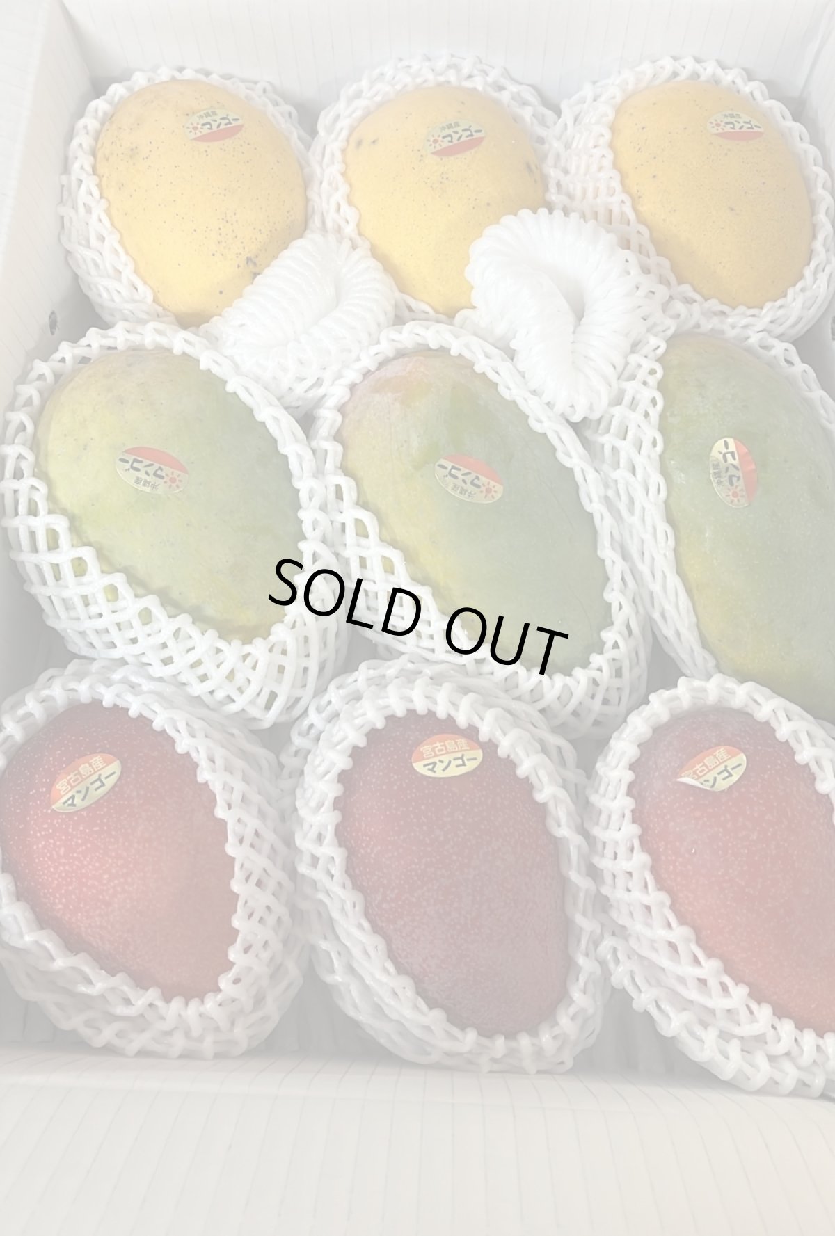 画像1: セール《新商品》マンゴーおまかせ品種食べ比べセット　３〜５品種　4~4.5kg 日付指定不可　玉数指定不可 (1)