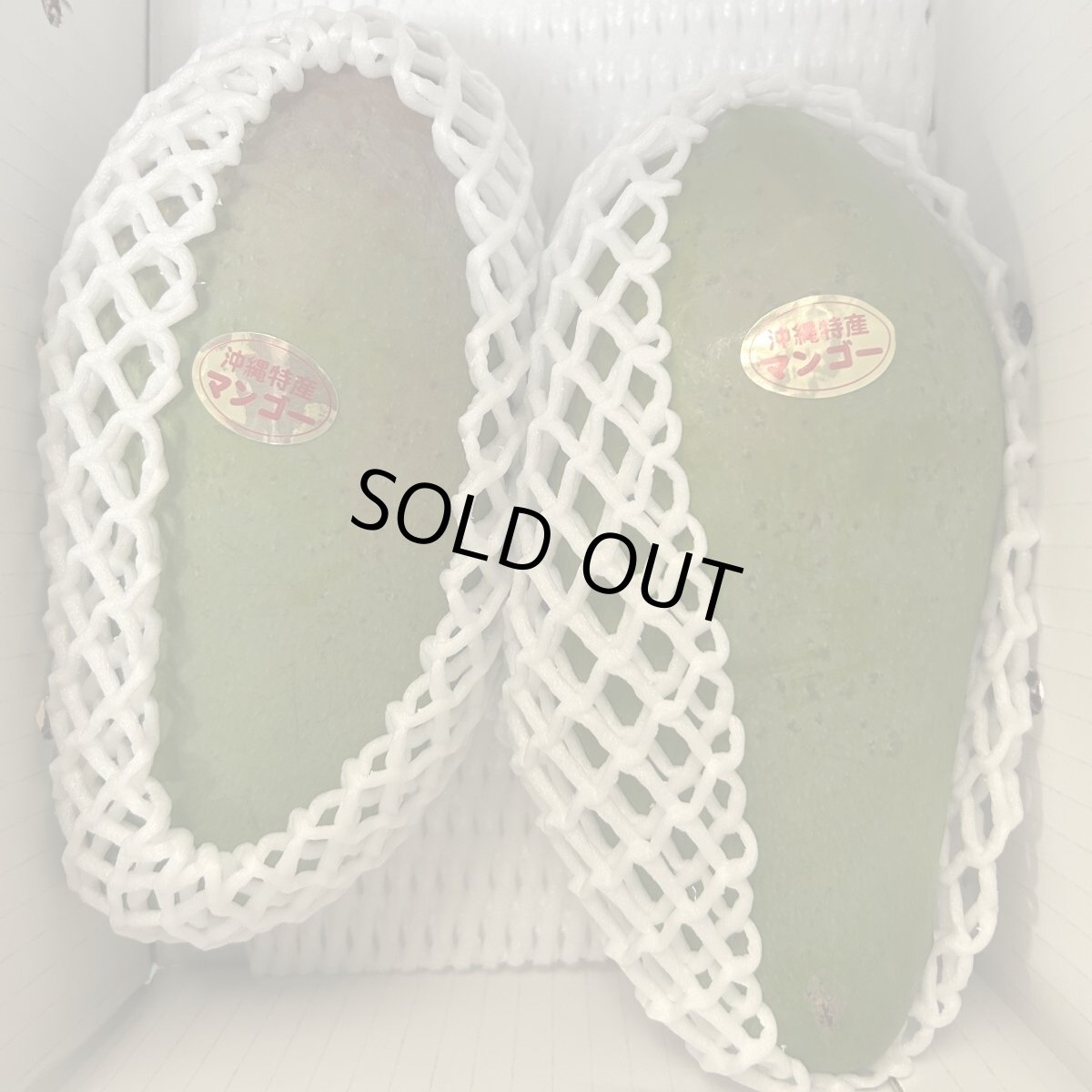 画像1: 【希少種】金煌（キンコウ）マンゴー約1.7kg（2玉入/大玉）数量限定 (1)