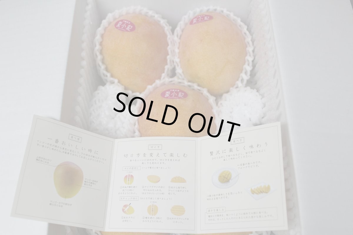 画像2: 夏小紅マンゴー　 約2kg (４〜６玉)　数量限定 (2)