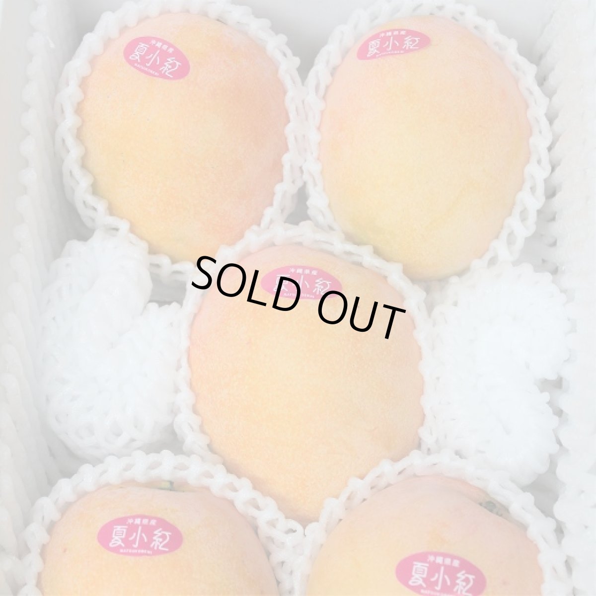 画像3: 夏小紅マンゴー　 約2kg (４〜６玉)　数量限定 (3)