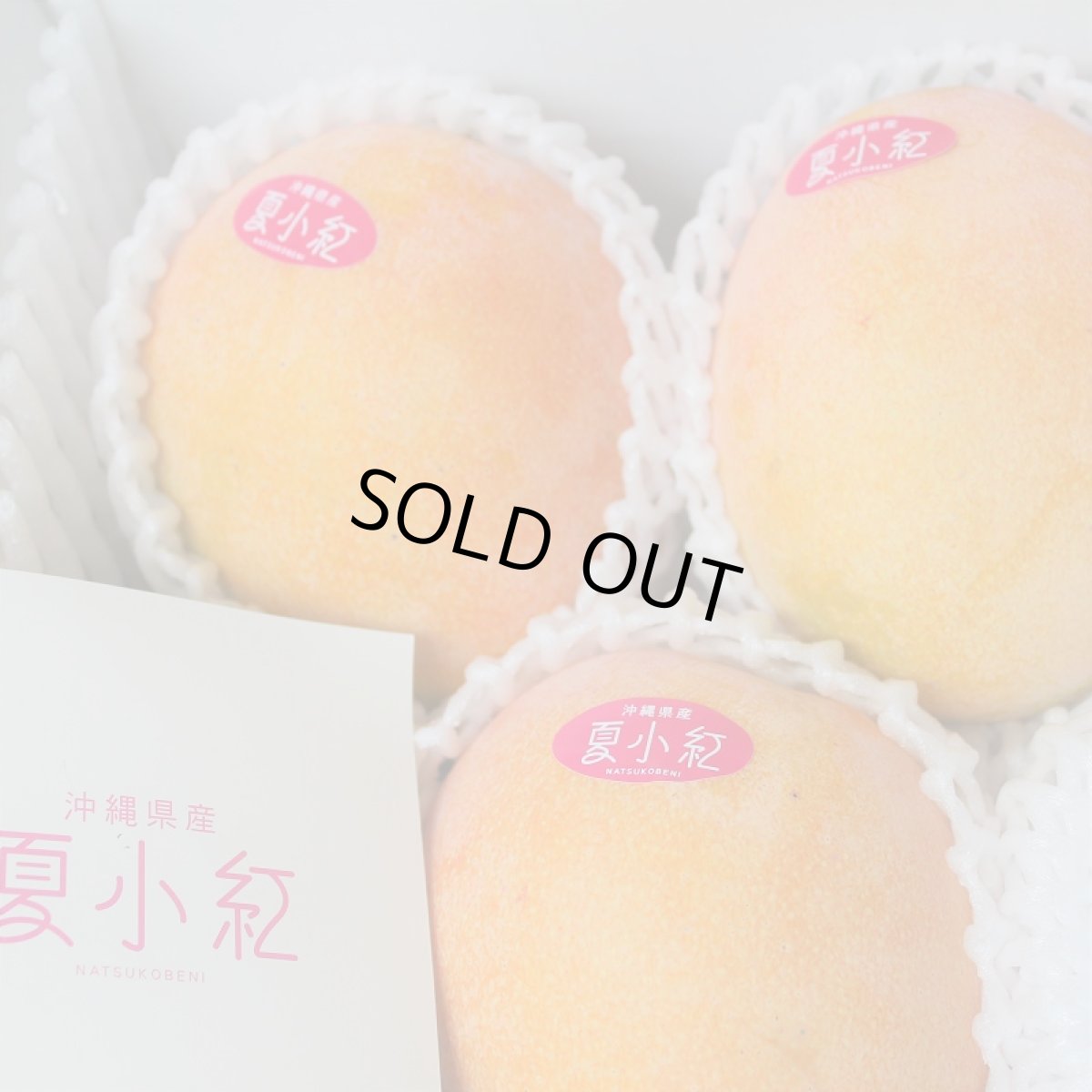 画像1: 夏小紅マンゴー　 約2kg (４〜６玉)　数量限定 (1)