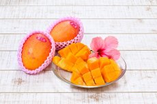 画像2: 夏小紅マンゴー　 約1kg (2玉入り)　数量限定 (2)