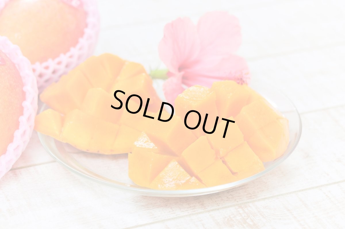 画像1: 夏小紅マンゴー　 約1kg (2玉入り)　数量限定 (1)