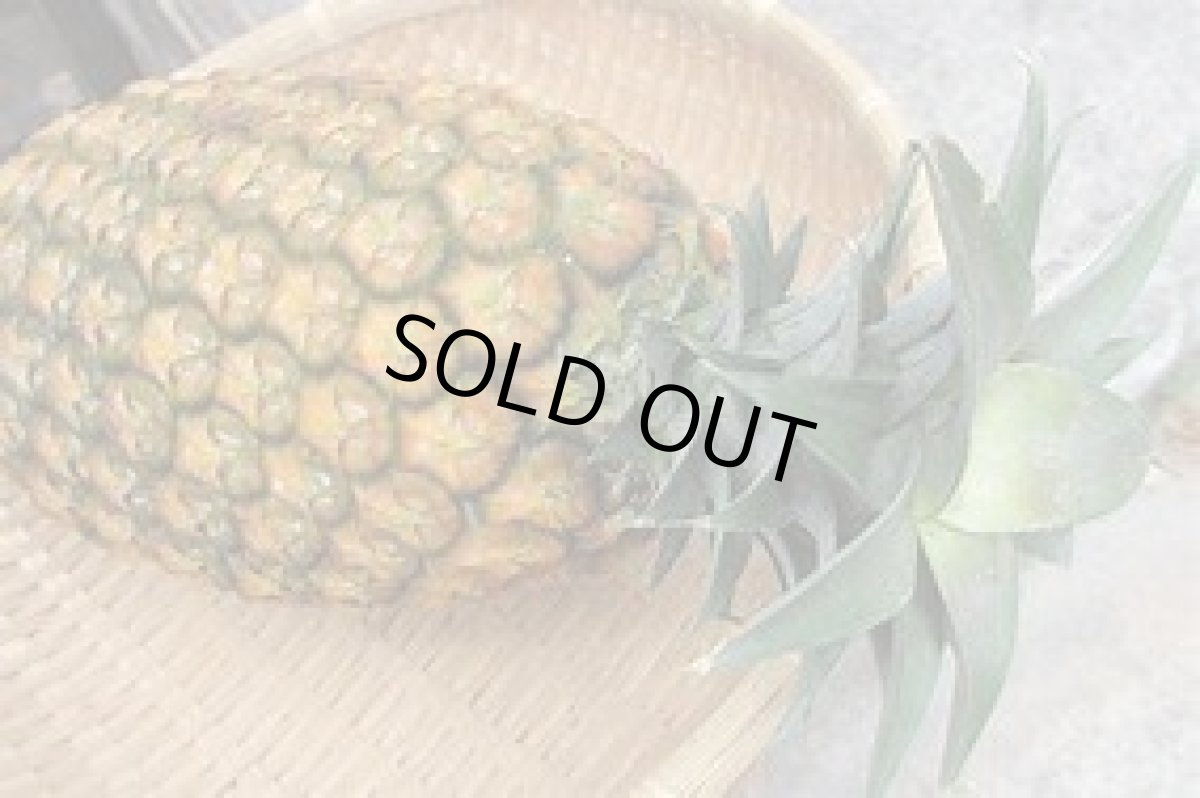 画像2: 沖縄県産 サンドルチェパイン ２ｋｇ（２〜４玉）7月中旬〜発送開始 (2)