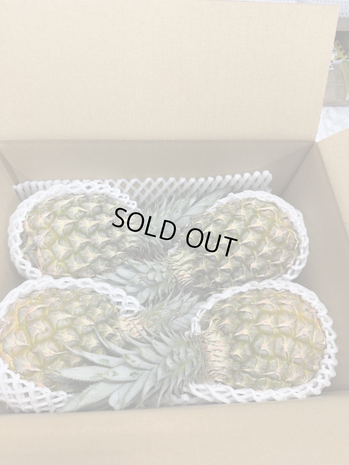 画像3: ＜旬の値下げ価格＞スナックパイン ９kg ボゴールパイン　１ケース　沖縄産 スナックパイン今が旬 (3)