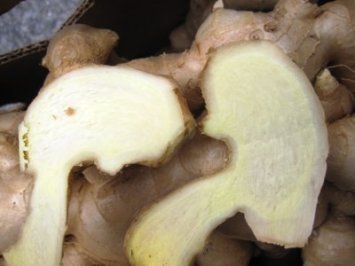 画像1: 沖縄産有機栽培　生姜１kg入りメルマガ会員は１０％割引