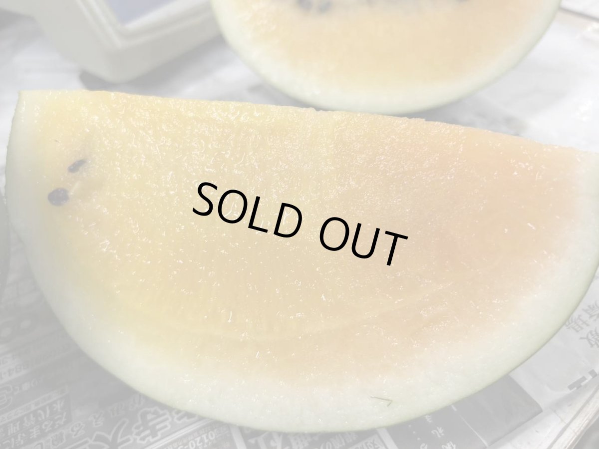 画像2: 【再入荷】沖縄県産「ムーンフラッシュ」黄肉　3.5キロ以上　高糖度　数量限定 (2)