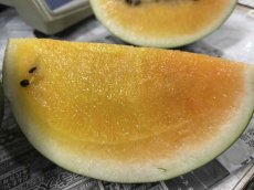 画像2: 【再入荷】沖縄県産「ムーンフラッシュ」黄肉　3.5キロ以上　高糖度　数量限定 (2)