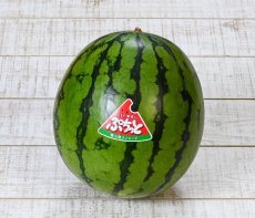 画像1: 甘く仕上がってます！種まで食べれるぷちっとスイカ☆　2.5〜3kg前後 (1)