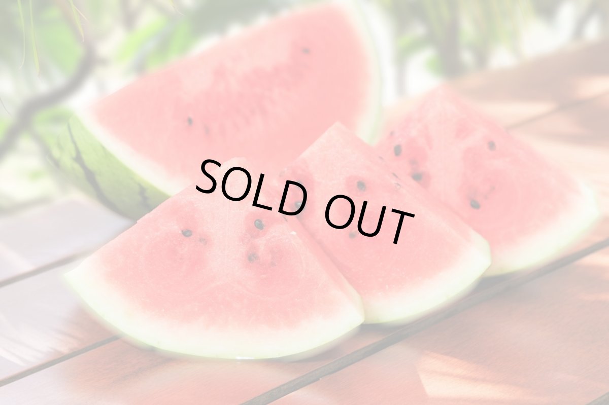 画像2: 甘く仕上がってます！種まで食べれるぷちっとスイカ☆　2.5〜3kg前後 (2)