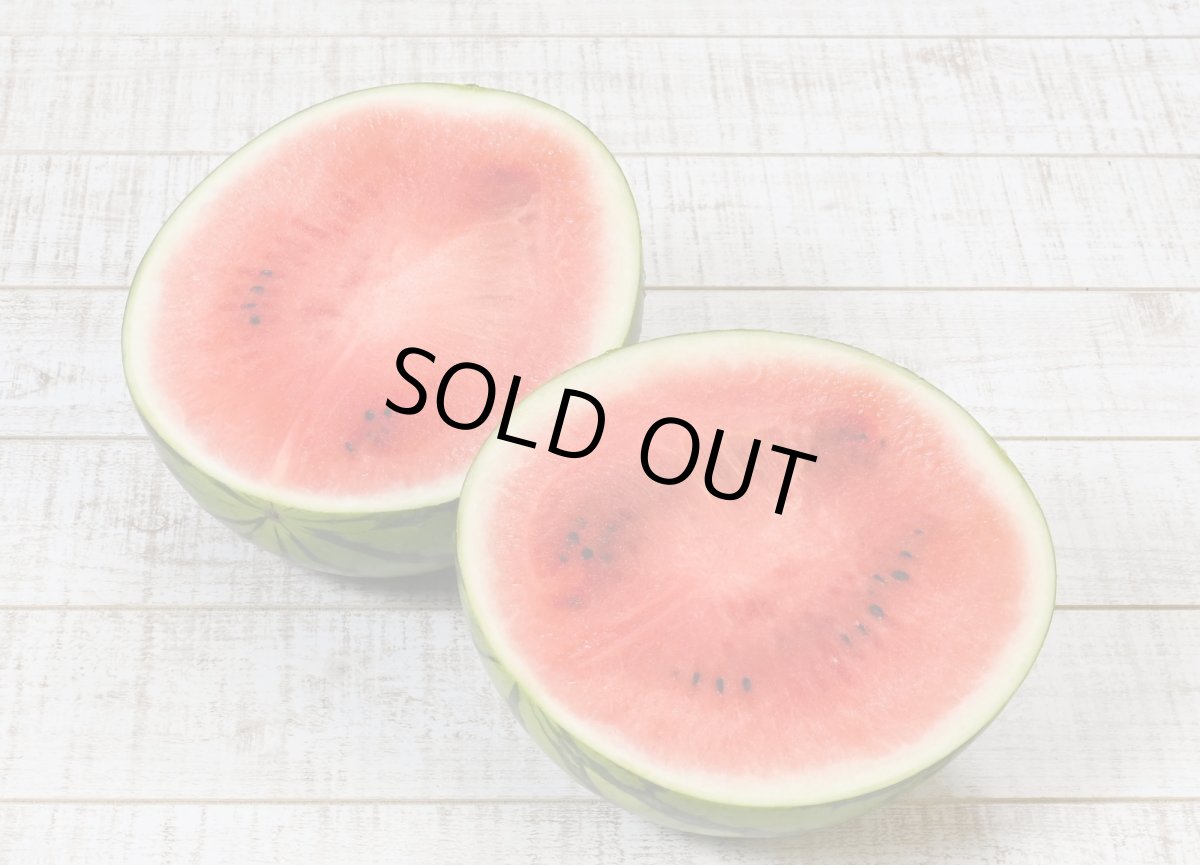 画像3: 甘く仕上がってます！種まで食べれるぷちっとスイカ☆　2.5〜3kg前後 (3)