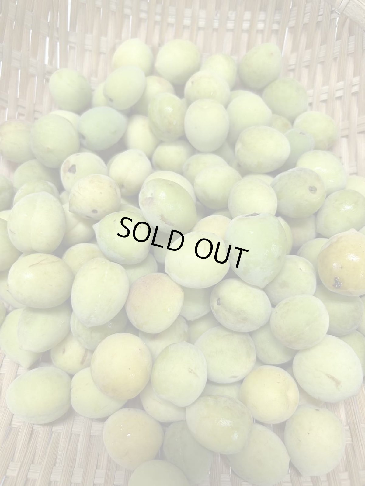 画像2: 沖縄県産 生梅 1kg　【数量限定】 (2)