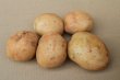 画像2: 沖縄県産　じゃがいも（約5ｋｇ） (2)