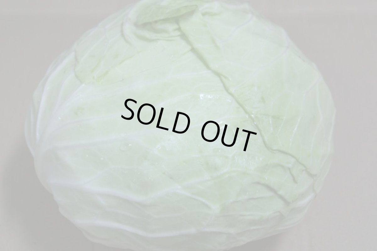 画像2: 出ました！新物　沖縄県産キャベツ　約10kg（7〜11玉） (2)