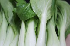 画像2: 沖縄野菜　チンゲン菜　1kg (2)